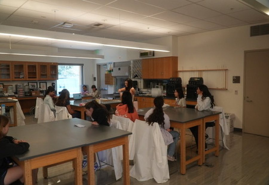 A classroom session being documented